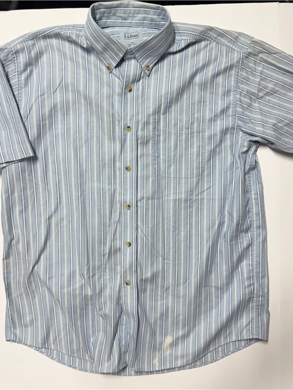 L.L. Bean Men's Light Blue Stripe Button-Down Shirt